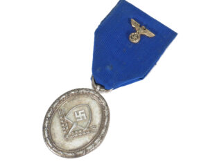 WWII German RAD Long Service Labor Corps Medal Original