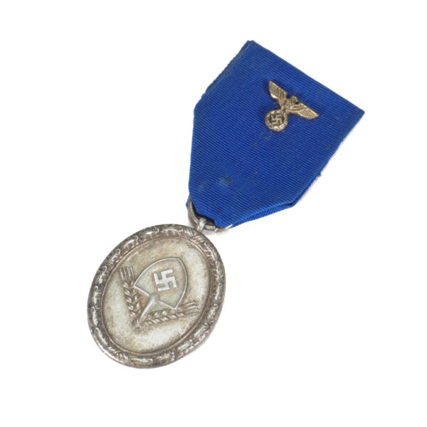 WWII German RAD Long Service Labor Corps Medal Original