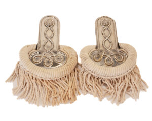 VERY RARE Capitol police Epaulettes "la policia capital"