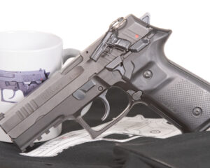 AREX Rex Zero 1 / Rex 7.65S French Police Import Pistol